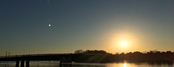 Saiko Doman Green Park is one of 公園_埼玉県.