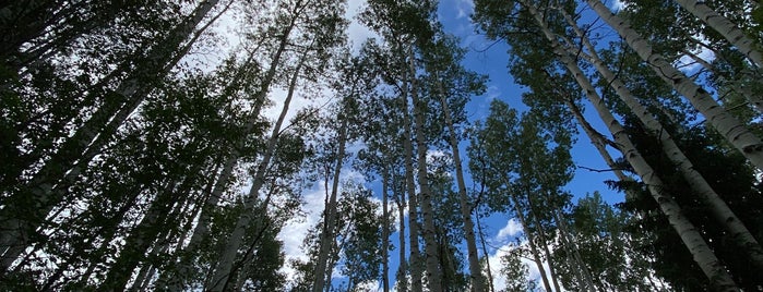 Berrypicker Hiking Trail is one of Vail - Eagle, CO.