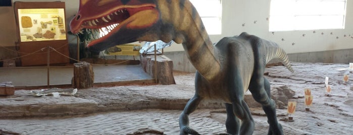 St George Dinosaur Discovery Site at Johnson Farm is one of Weird Museums and Roadside Attractions.