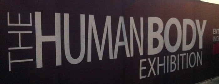The Human Body Exhibition is one of Musei da visitare.