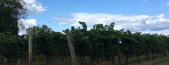 Gray Ghost Winery & Vineyards is one of Jared : понравившиеся места.