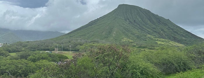 Koko Head Scenic Lookout is one of hikes & sites.
