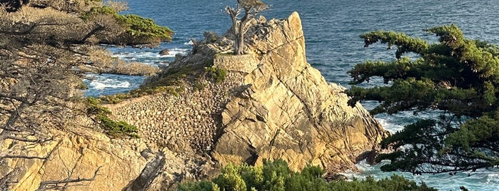 Pebble Beach is one of Highway 1 - California.