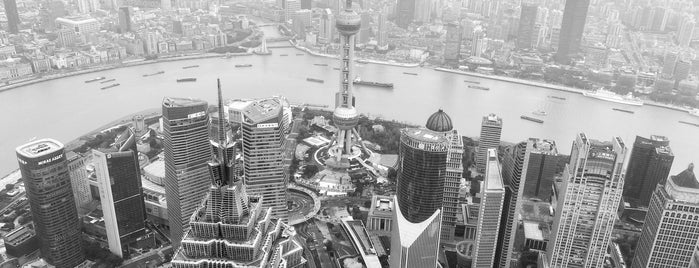 Sky Walk 100 Shanghai World Financial Centre is one of Places I may visit in Shanghai.