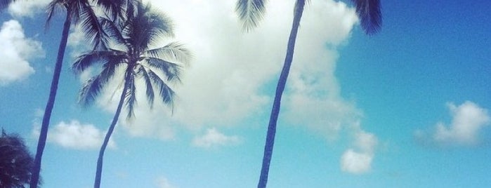 Waikīkī Beach is one of Tempat yang Disukai Noel.