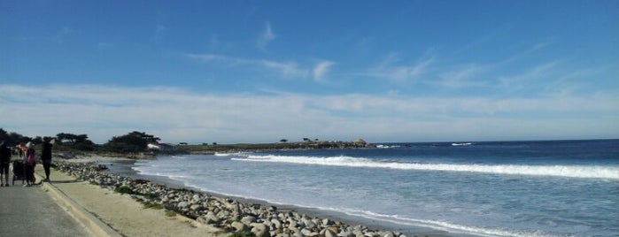 17 Mile Drive is one of Carmel / Pebble Beach / Monterey.