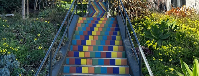 Tompkins Steps is one of Mosaic steps.