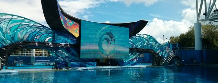 One Ocean is one of SeaWorld - Orlando.