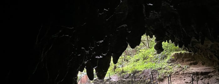 Waitomo Glowworm Caves is one of New Zealand.