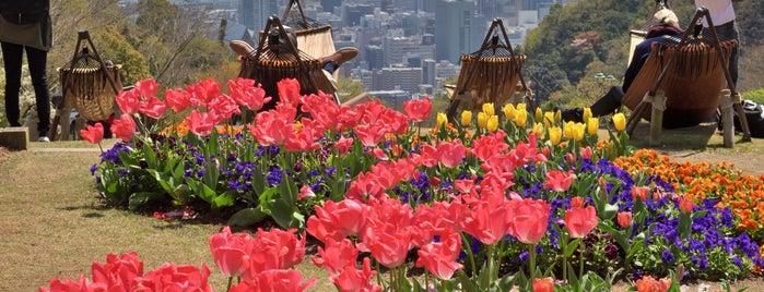 Nunobiki Herb Garden Park is one of 夜景.