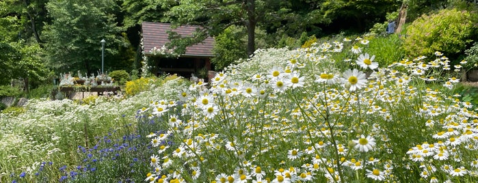 四季の庭 is one of 観光 行きたい.