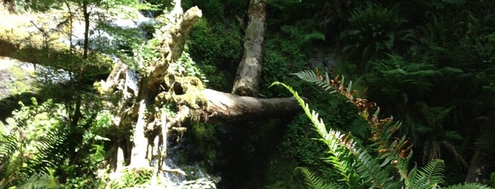 Fern Falls is one of Lugares favoritos de Andy.