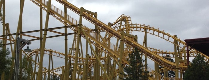 The gauntlet is one of ROLLER COASTERS 4.