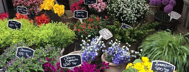 Mercado de las Flores is one of Amsterdam.