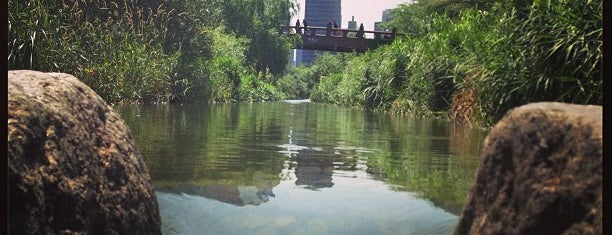 Cheonggyecheon Stream is one of Seoul: Walking Tourist Hitlist.