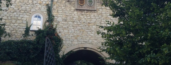 Burgruine Teck is one of Besuchte Orte.