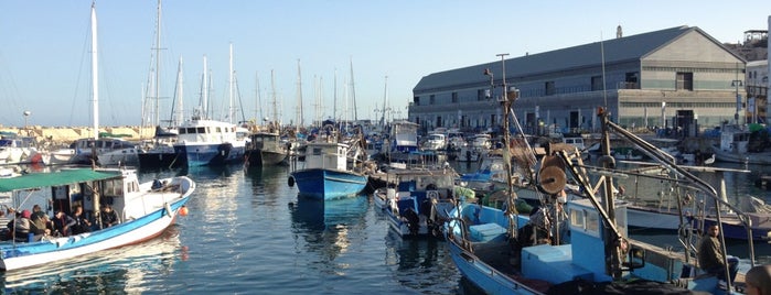 Jaffa Port is one of Tel aviv.