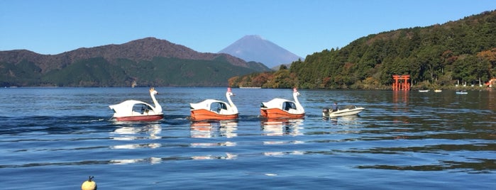 Motohakone Port is one of สถานที่ที่ Eduardo ถูกใจ.