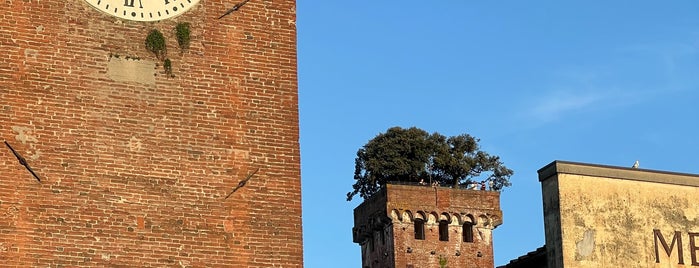 Torre Guinigi is one of Lucca, Italy.