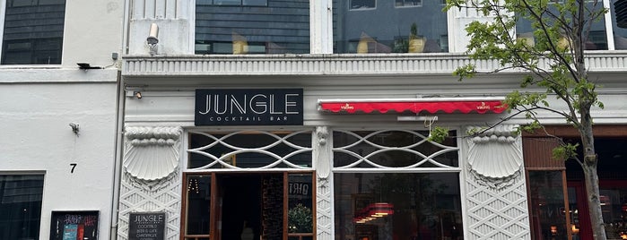 Jungle cocktail bar is one of Reykjavík.
