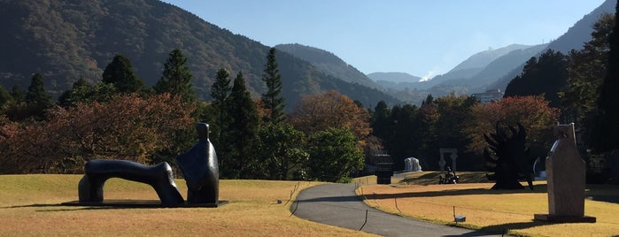 The Hakone Open-Air Museum is one of Orte, die Eduardo gefallen.