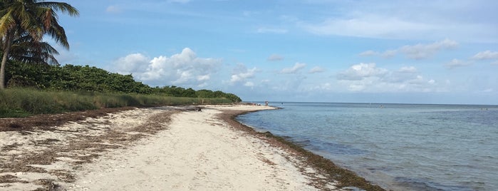 Sandspur Beach is one of Miami.