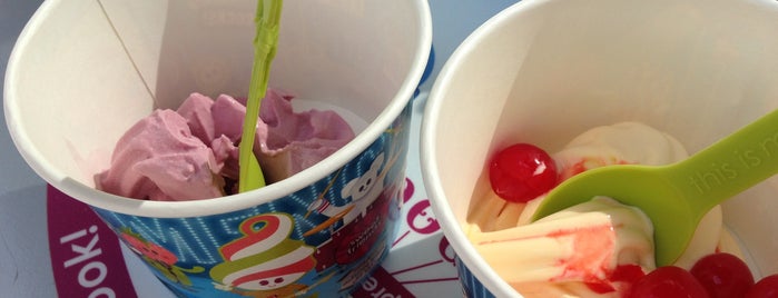 Menchie's Frozen Yogurt is one of junk food.