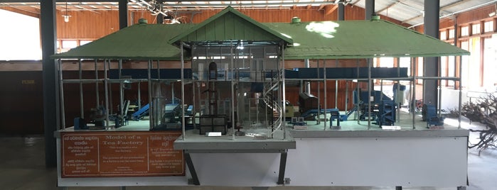 Ceylon Tea Museum is one of Sri Lanka.