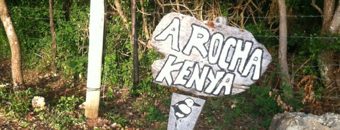 A Rocha Kenya is one of Favorite places from my travels.