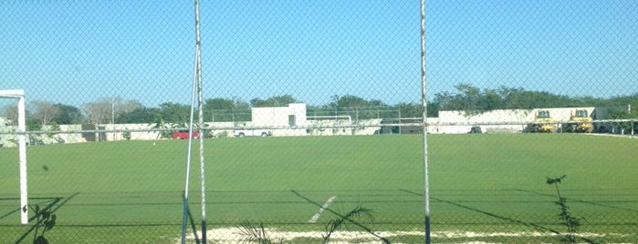 campo de futbol  Temozon is one of JoseRamon : понравившиеся места.