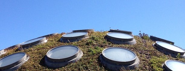 カリフォルニア科学アカデミー is one of Visit.