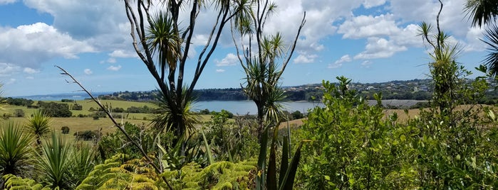 Army Bay is one of Auckland.