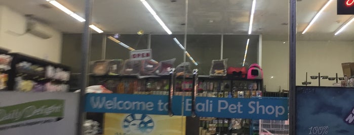 Bali Pet Shop is one of Best places in Denpasar, Indonesia.
