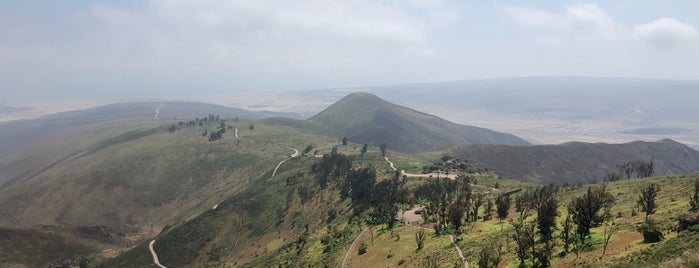 Reserva Nacional de Lachay is one of Best places in Lima, Peru.