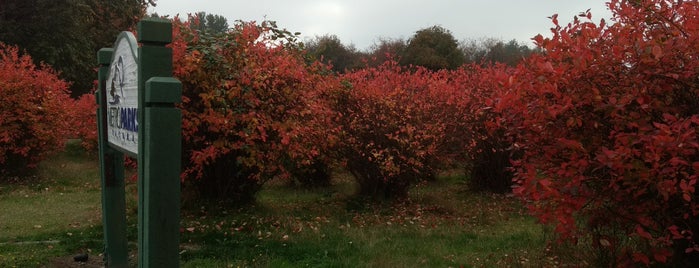 Blueberry Park is one of Lieux sauvegardés par Vanessa.