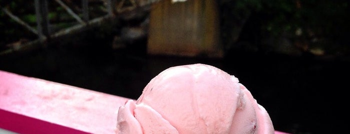 River Ducks Ice Cream is one of Portland & Maine Bucket List.