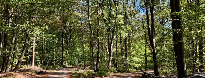 Forêt Domaniale du Nord de Spa is one of Weekendje weg 10/18.