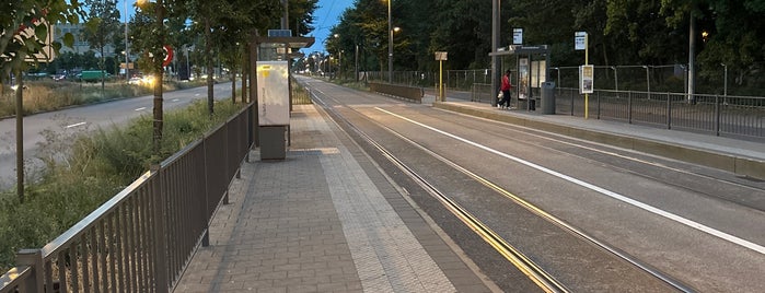 Halte Antwerpen Kinepolis is one of Belgium / Antwerp / Tram / Line 1.