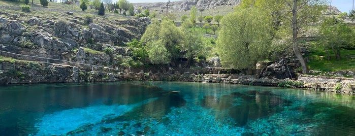 Gökpınar Gölü Doğal Yaşam Parkı is one of Gezilecek yerler.
