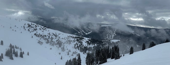 Back Bowls at Vail is one of Favorite Ski Mountains.