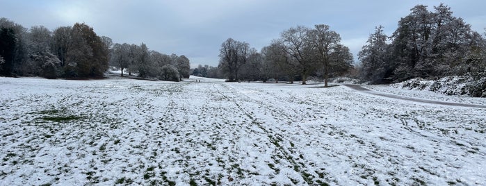 Darley Park is one of Things to do in Derby.