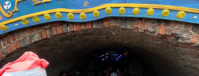 The Rave Cave is one of Tomorrowland.