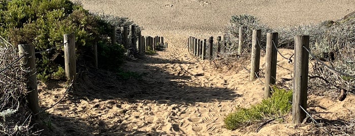 Sand Ladder is one of Simon : понравившиеся места.