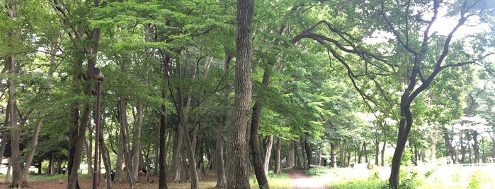 内牧公園 is one of 公園_埼玉県.