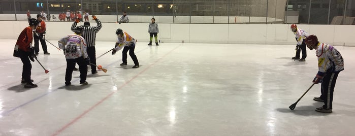 Patinoire de Montchoisi is one of Best sport places in Lausanne.