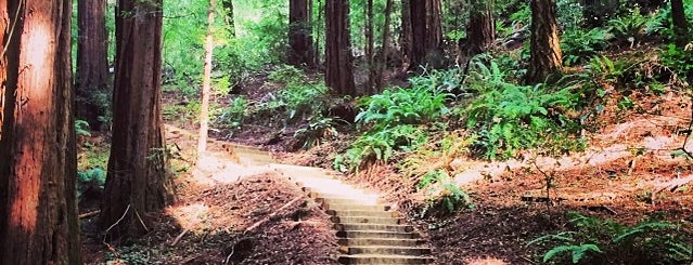 Lost Trail And Ocean View Trail Bench is one of Outside LA.