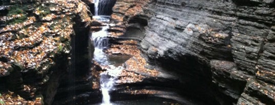 Watkins Glen State Park is one of Upstate NY.