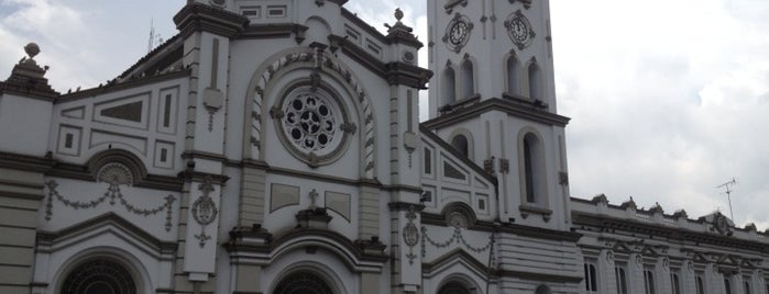 Iglesia del Carmen is one of Ibagué.