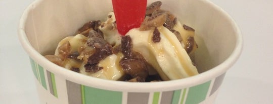 Yogurtini is one of CO+HOOTS Foursquare Directory.