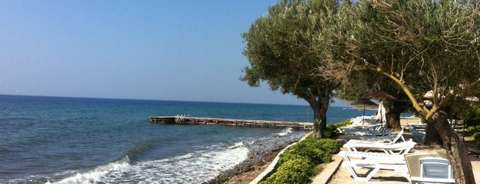 Manici Beach is one of Ceyda’s Liked Places.